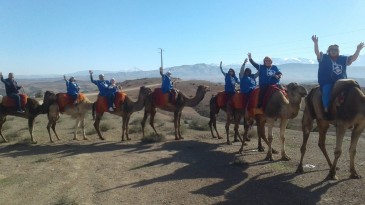 CHERIF-EVENTS-Animation-Folklorique-9-365x205 GALERIE