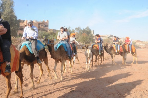 CHERIF-EVENTS-Balade-Dromadaire-Palmeraie-2-577x383 GALERIE