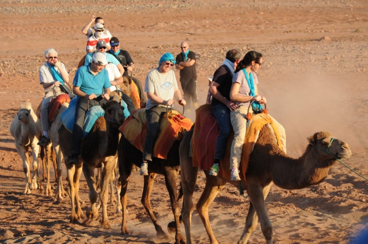 CHERIF-EVENTS-Balade-Dromadaire-Palmeraie-3-726x482 GALERIE