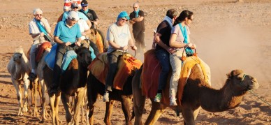 CHERIF-EVENTS-Balades-Quad-Marrakech-2-388x179 GALERIE