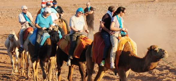 CHERIF-EVENTS-Balades-Quad-Marrakech-2-587x272 GALERIE